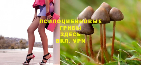 твердый Балахна