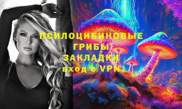 твердый Балахна