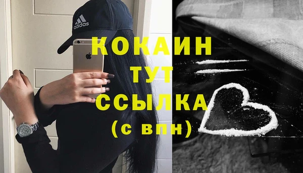 твердый Балахна