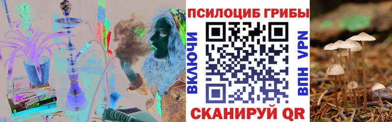 Галлюциногенные грибы мухоморы  Гай 